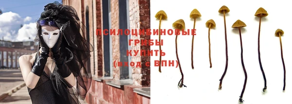 ешки Каменногорск