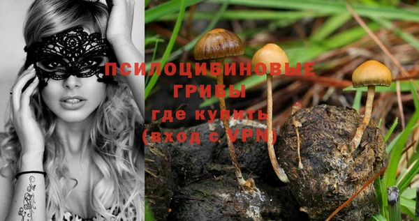 МДМА Каменка