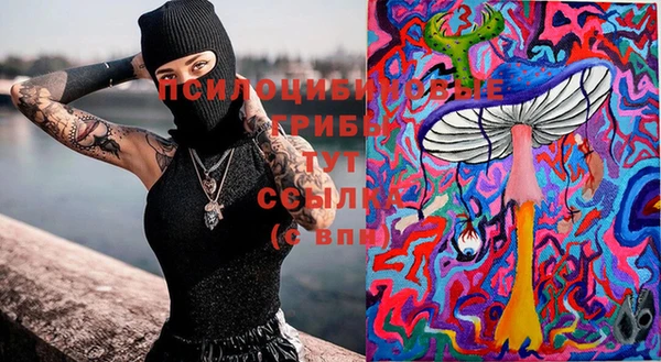 МДМА Каменка