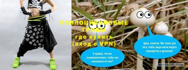 МДМА Каменка