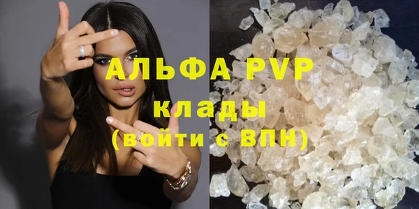 ешки Каменногорск