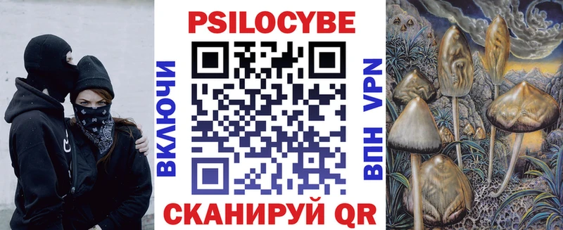 Галлюциногенные грибы прущие грибы  Купить где  Донецк 